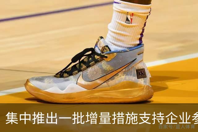 集中推出一批增量措施支持企业参与国际竞争